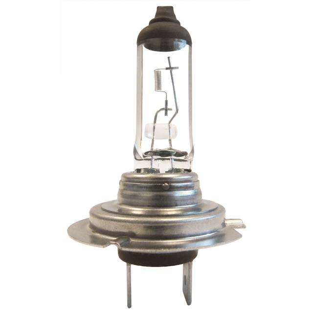 H7 70W CEC Industries  Lampes au néon à incandescence